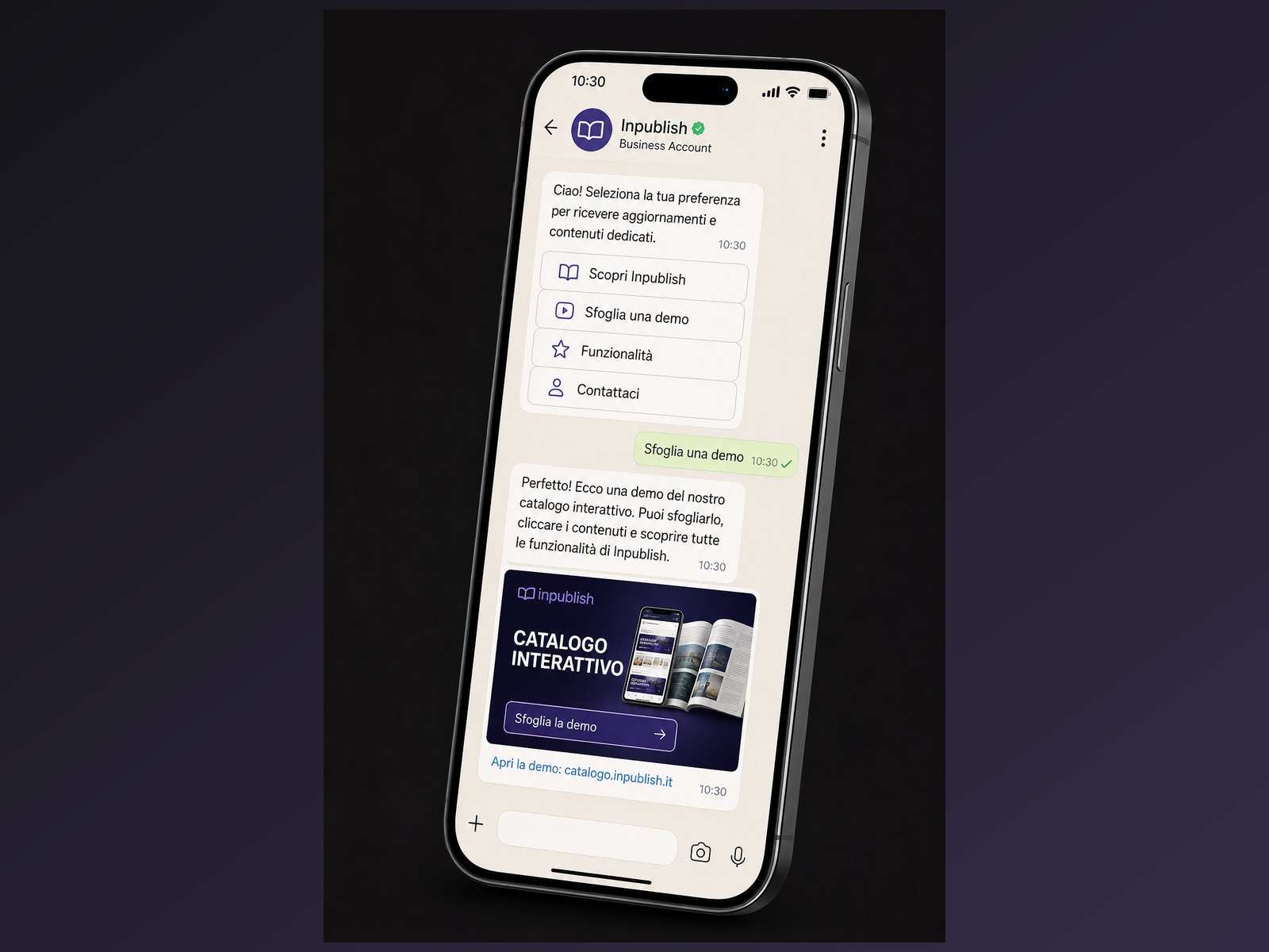 inpublish — WhatsApp broadcast